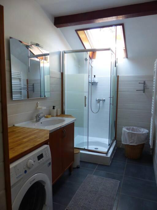 Appartement Dans Maison Brié-et-Angonnes Zewnętrze zdjęcie